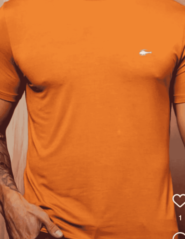 Camisa básica Sallo gola O cor 387 com estilo